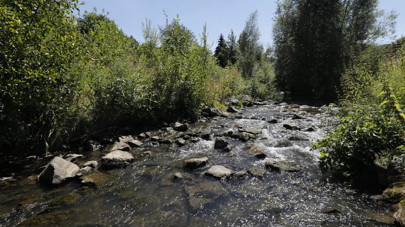 Die renaturierte Emscher in Dortmund-Schönau. Foto: Rupert Oberhäuser/EGLV