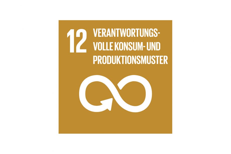 SDG 12 Verantwortungsvolle Konsum- und Produktionsmuster
