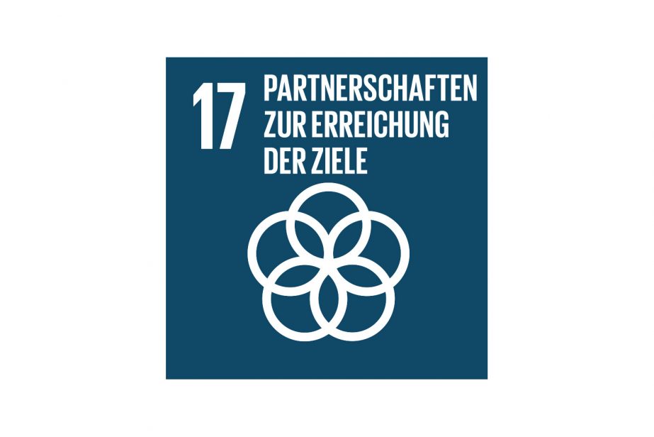 SDG 17 Partnerschaften zur Erreichung der Ziele