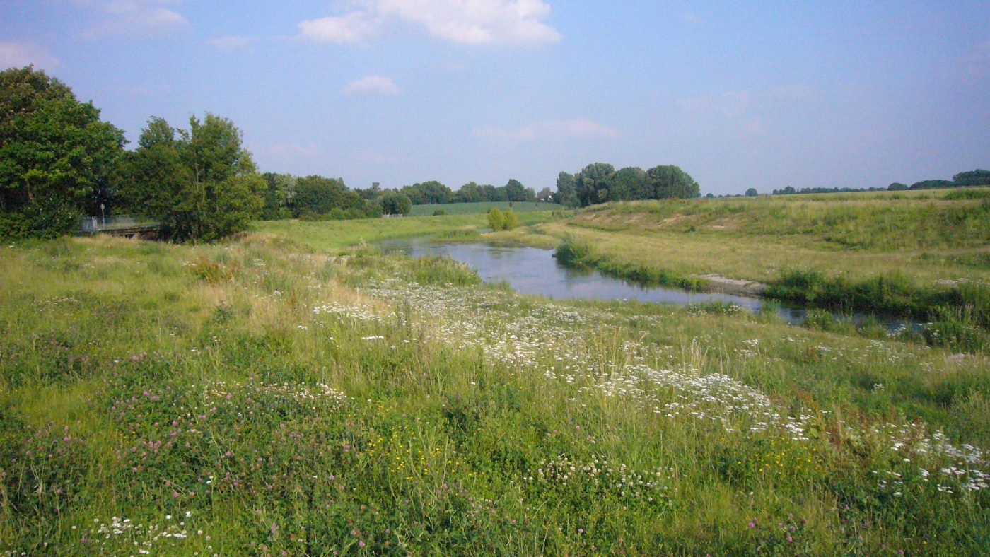 Die Seseke. Foto: Dietrich Worbs/EGLV